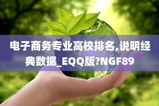 电子商务专业高校排名,说明经典数据_EQQ版?NGF89