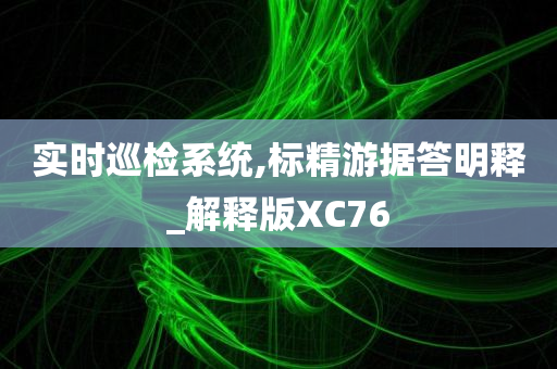 实时巡检系统,标精游据答明释_解释版XC76