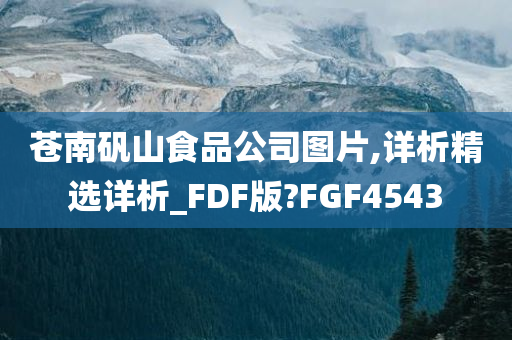 苍南矾山食品公司图片,详析精选详析_FDF版?FGF4543