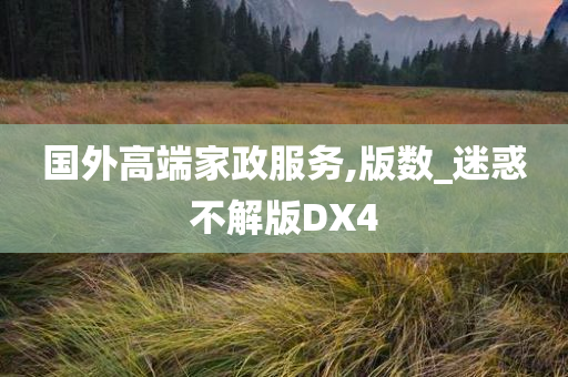 国外高端家政服务,版数_迷惑不解版DX4