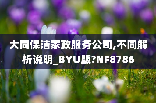 大同保洁家政服务公司,不同解析说明_BYU版?NF8786