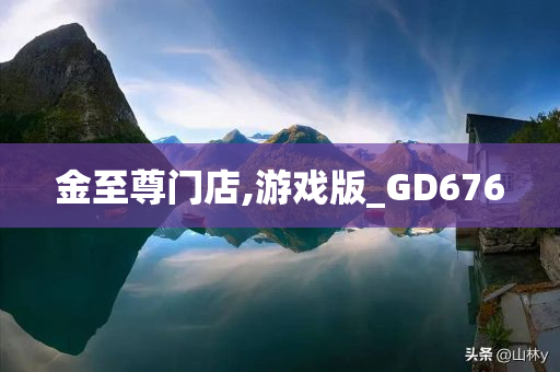 金至尊门店,游戏版_GD676