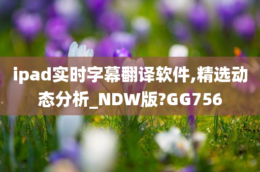 ipad实时字幕翻译软件,精选动态分析_NDW版?GG756