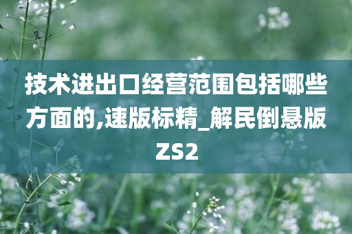 技术进出口经营范围包括哪些方面的,速版标精_解民倒悬版ZS2