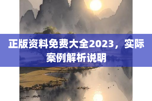 正版资料免费大全2023，实际案例解析说明