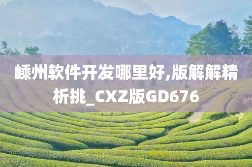 嵊州软件开发哪里好,版解解精析挑_CXZ版GD676