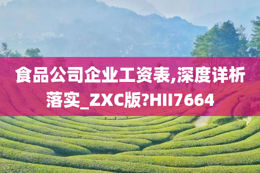 食品公司企业工资表,深度详析落实_ZXC版?HII7664