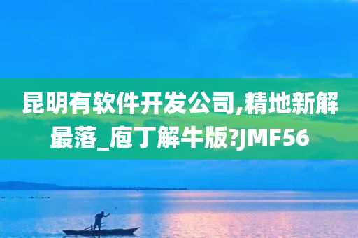 昆明有软件开发公司,精地新解最落_庖丁解牛版?JMF56