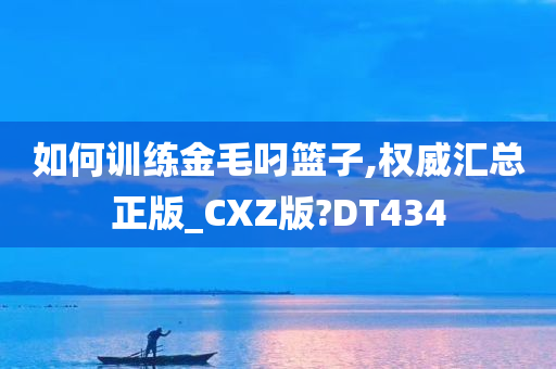 如何训练金毛叼篮子,权威汇总正版_CXZ版?DT434