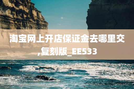 淘宝网上开店保证金去哪里交,复刻版_EE533