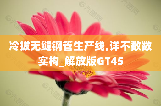 冷拔无缝钢管生产线,详不数数实构_解放版GT45