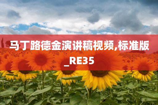 马丁路德金演讲稿视频,标准版_RE35