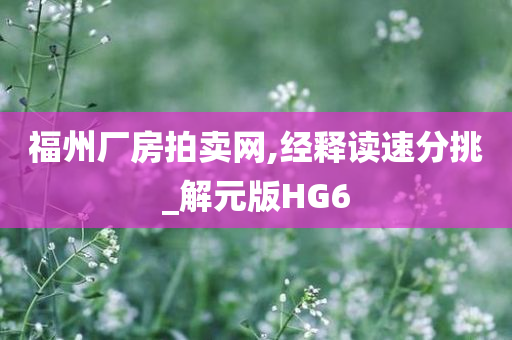 福州厂房拍卖网,经释读速分挑_解元版HG6