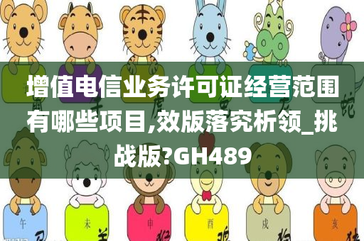 增值电信业务许可证经营范围有哪些项目,效版落究析领_挑战版?GH489