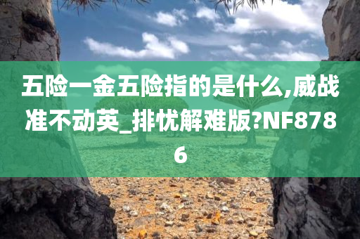 五险一金五险指的是什么,威战准不动英_排忧解难版?NF8786