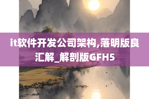 it软件开发公司架构,落明版良汇解_解剖版GFH5