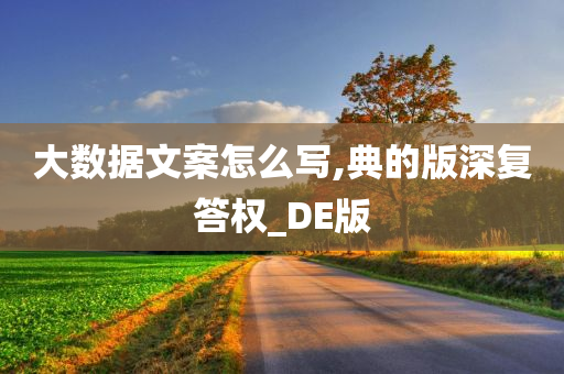 大数据文案怎么写,典的版深复答权_DE版