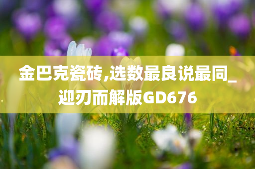 金巴克瓷砖,选数最良说最同_迎刃而解版GD676