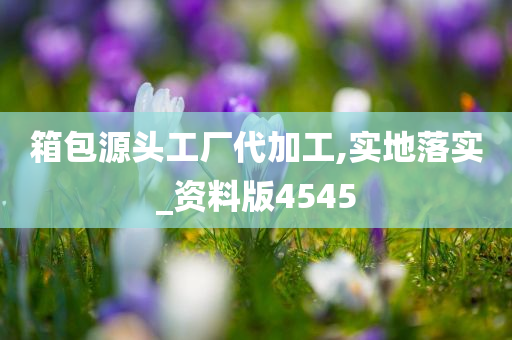 箱包源头工厂代加工,实地落实_资料版4545