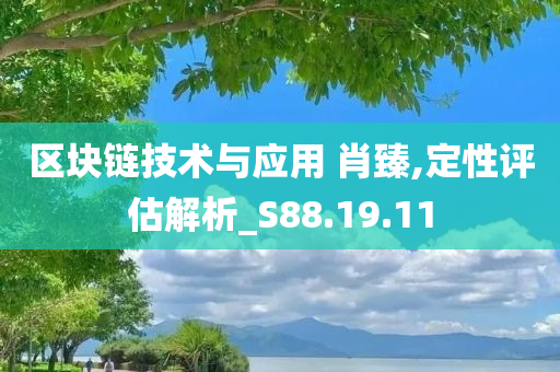 区块链技术与应用 肖臻,定性评估解析_S88.19.11