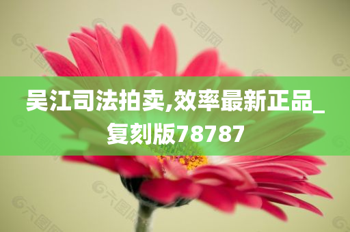 吴江司法拍卖,效率最新正品_复刻版78787