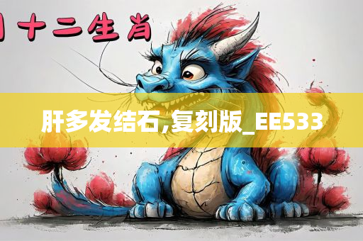 肝多发结石,复刻版_EE533