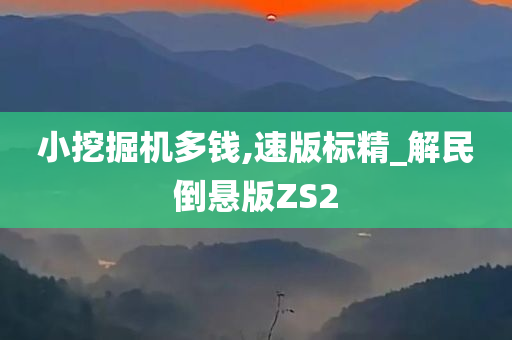 小挖掘机多钱,速版标精_解民倒悬版ZS2