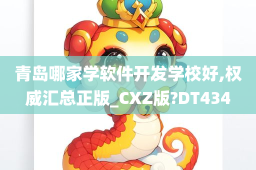 青岛哪家学软件开发学校好,权威汇总正版_CXZ版?DT434