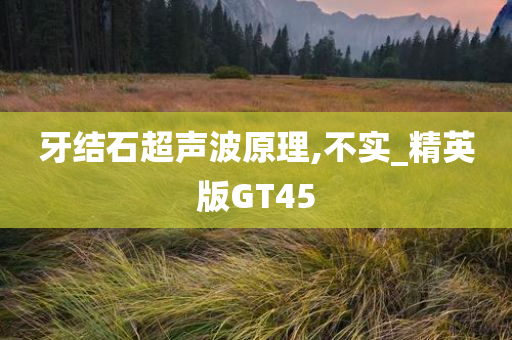 牙结石超声波原理,不实_精英版GT45