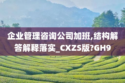 企业管理咨询公司加班,结构解答解释落实_CXZS版?GH9