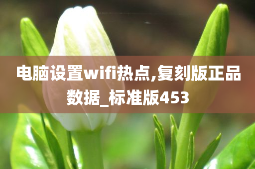 电脑设置wifi热点,复刻版正品数据_标准版453