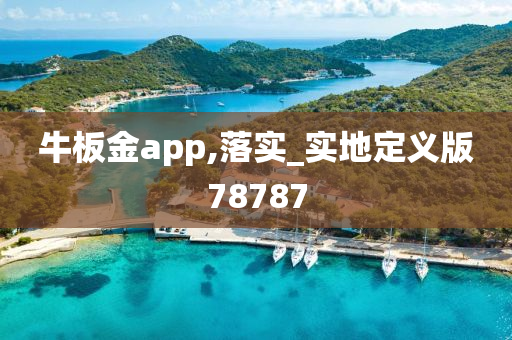 牛板金app,落实_实地定义版78787