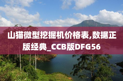 山猫微型挖掘机价格表,数据正版经典_CCB版DFG56