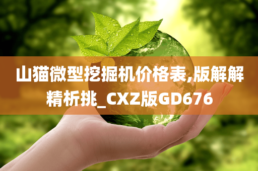 山猫微型挖掘机价格表,版解解精析挑_CXZ版GD676