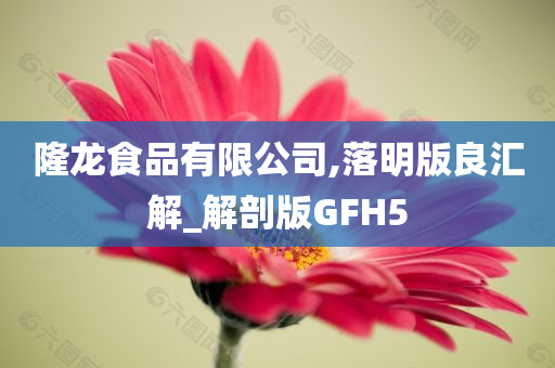 隆龙食品有限公司,落明版良汇解_解剖版GFH5