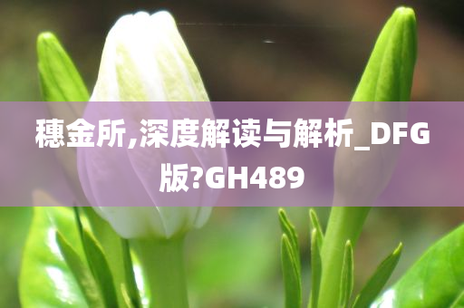 穗金所,深度解读与解析_DFG版?GH489