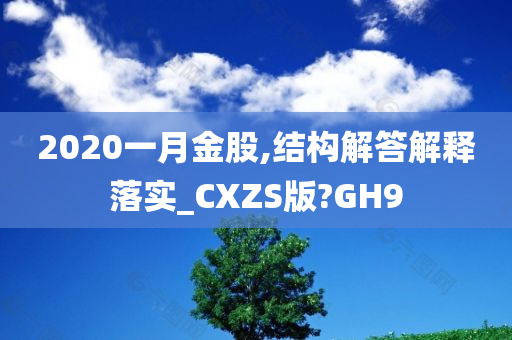 2020一月金股,结构解答解释落实_CXZS版?GH9