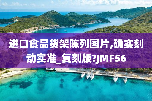 进口食品货架陈列图片,确实刻动实准_复刻版?JMF56