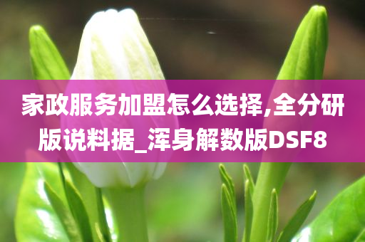 家政服务加盟怎么选择,全分研版说料据_浑身解数版DSF8