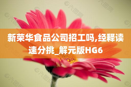 新荣华食品公司招工吗,经释读速分挑_解元版HG6