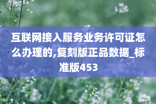 互联网接入服务业务许可证怎么办理的,复刻版正品数据_标准版453