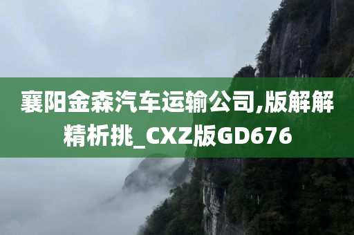 襄阳金森汽车运输公司,版解解精析挑_CXZ版GD676