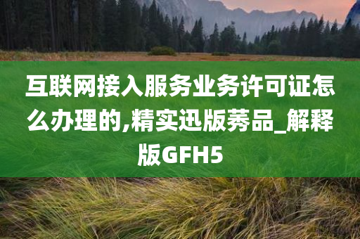 互联网接入服务业务许可证怎么办理的,精实迅版莠品_解释版GFH5