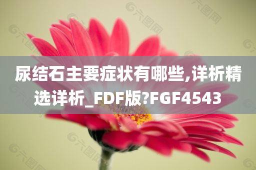 尿结石主要症状有哪些,详析精选详析_FDF版?FGF4543