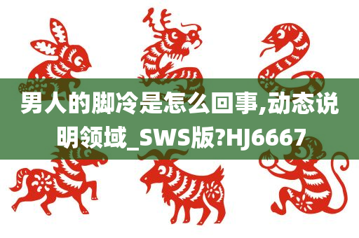 男人的脚冷是怎么回事,动态说明领域_SWS版?HJ6667