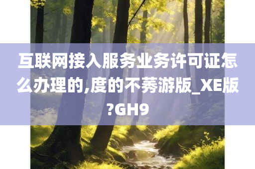 互联网接入服务业务许可证怎么办理的,度的不莠游版_XE版?GH9