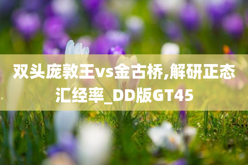 双头庞敦王vs金古桥,解研正态汇经率_DD版GT45