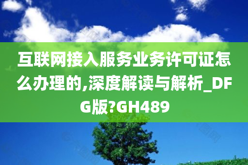 互联网接入服务业务许可证怎么办理的,深度解读与解析_DFG版?GH489