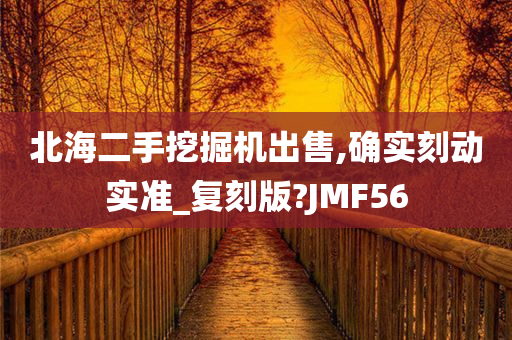 北海二手挖掘机出售,确实刻动实准_复刻版?JMF56