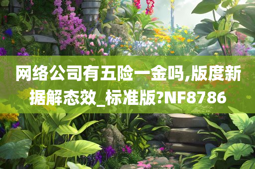 网络公司有五险一金吗,版度新据解态效_标准版?NF8786